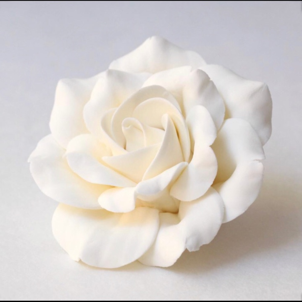 Meet Your Posher Sara🌹